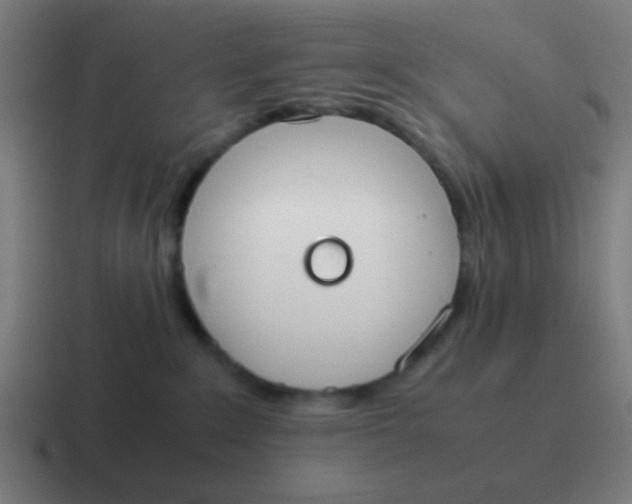 X0000116840235200912312101