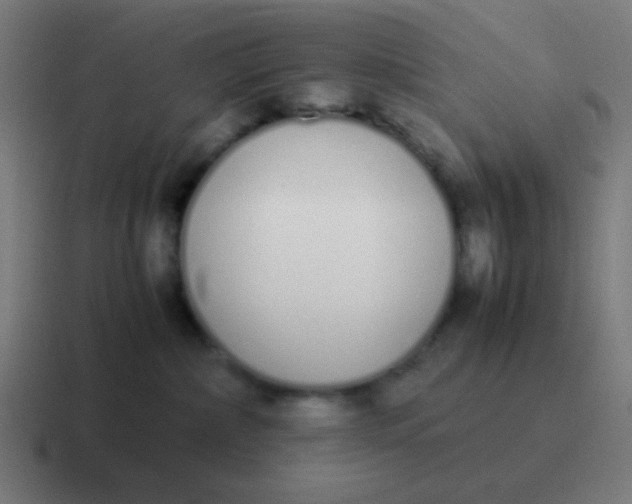 X0000116840236200912312101