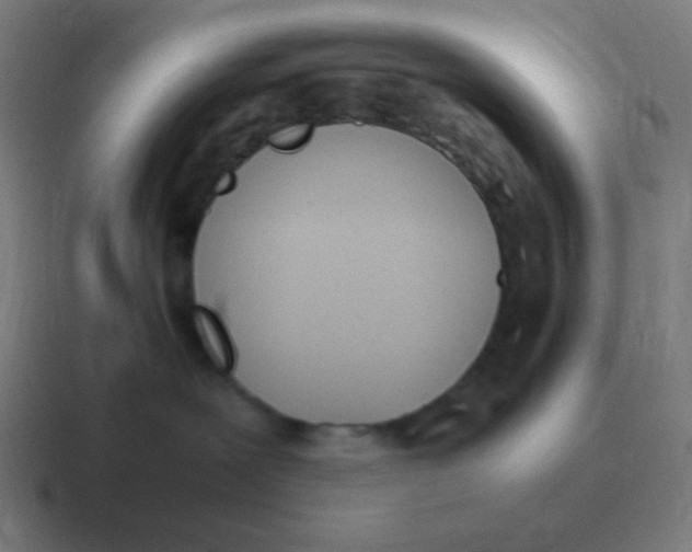 X0000116840239200912312101