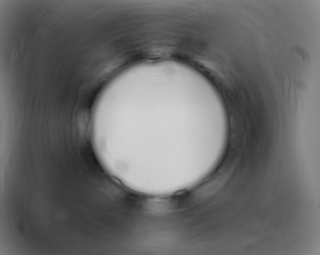 X0000116840240200912312101