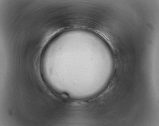 X0000116840241200912312100