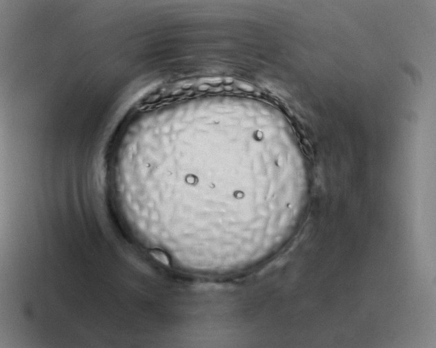 X0000116840242200912312100