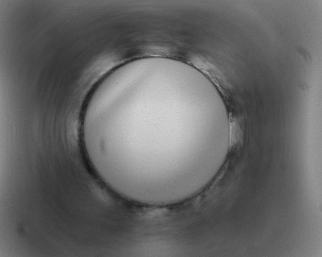 X0000116840243200912312100