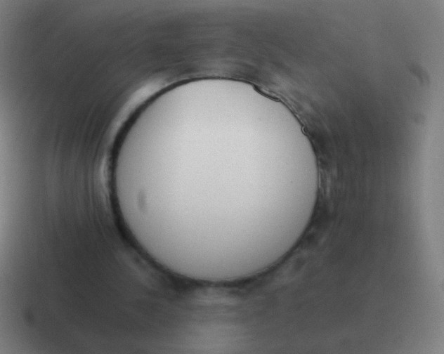 X0000116840244200912312100