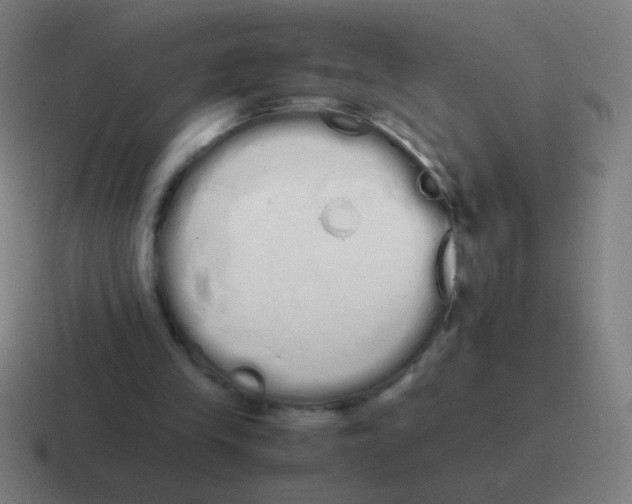 X0000116840245200912312100