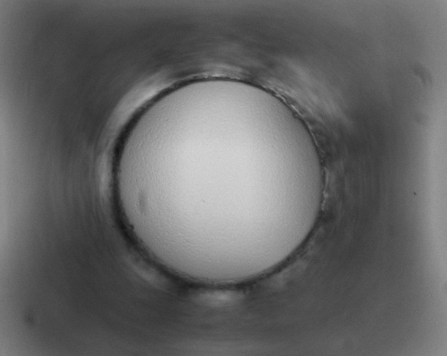 X0000116840247200912312100