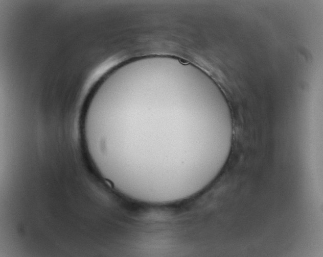 X0000116840248200912312100