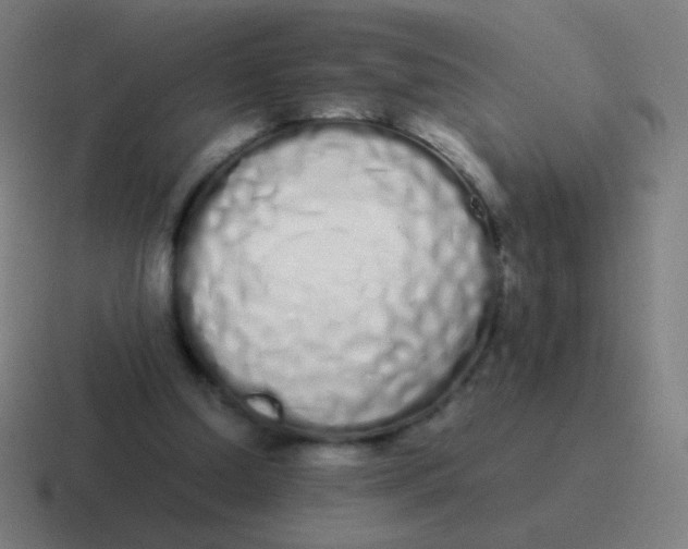 X0000116840250200912312100