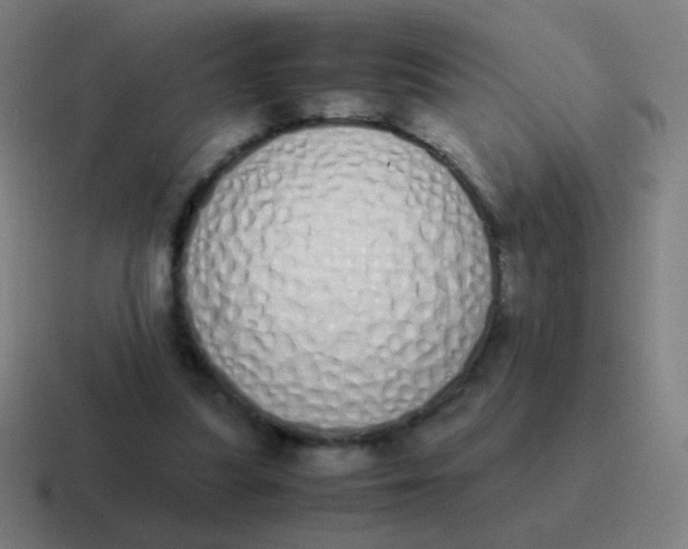 X0000116840251200912312100