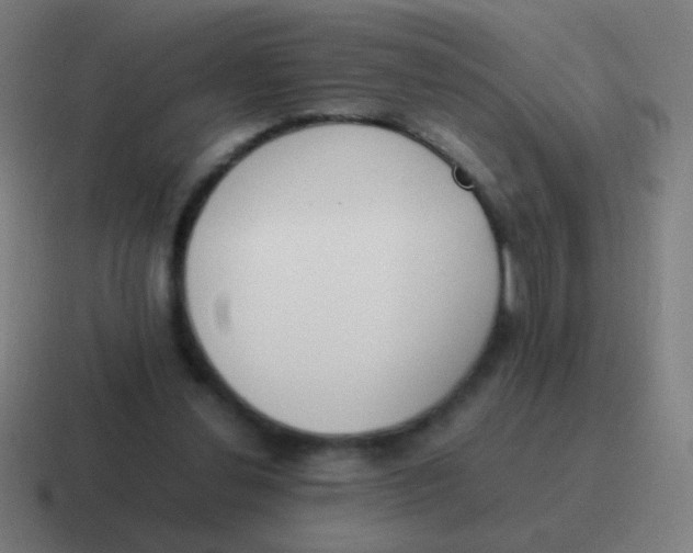 X0000116840252200912312100