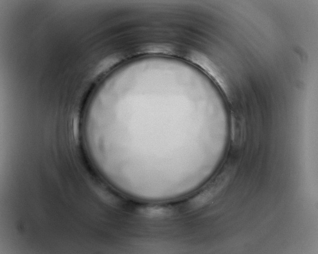 X0000116840253200912312100