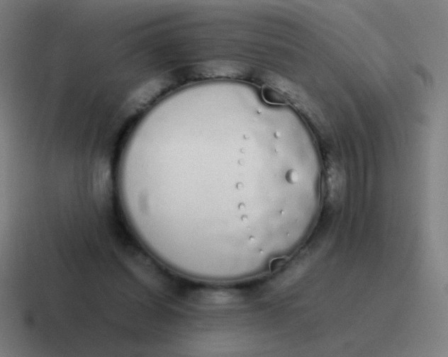 X0000116840254200912312100