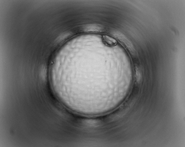 X0000116840255200912312100