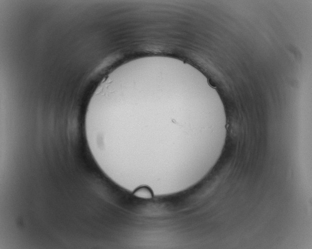 X0000116840256200912312100