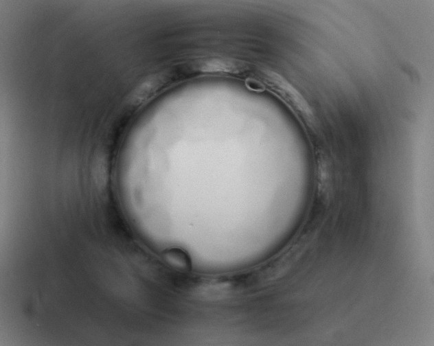 X0000116840257200912312100