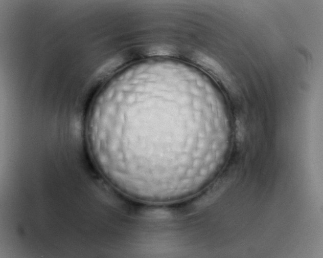 X0000116840258200912312100