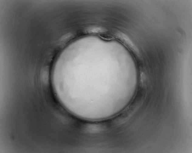 X0000116840259200912312100