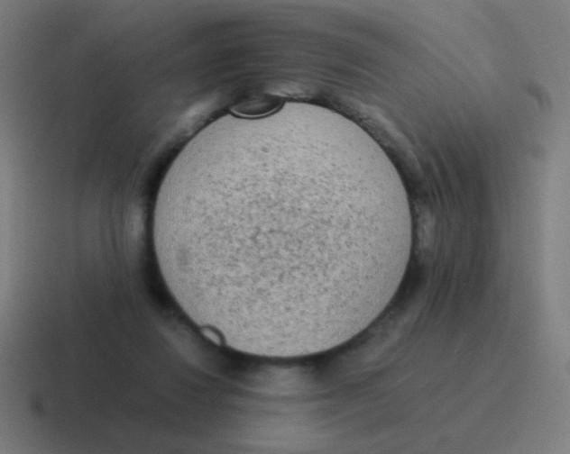 X0000116840260200912312100