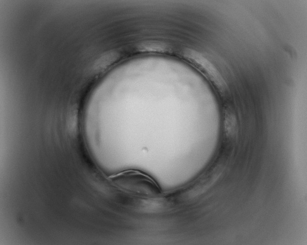 X0000116840261200912312100