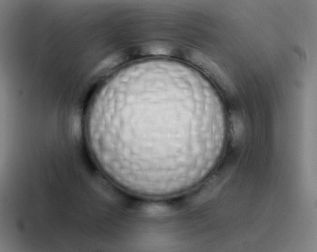 X0000116840262200912312100