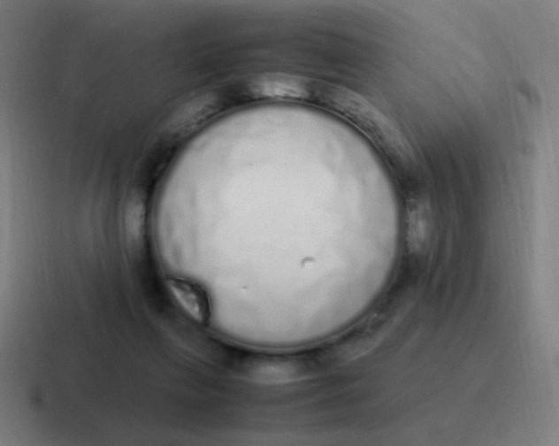 X0000116840263200912312100