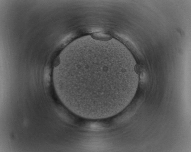 X0000116840264200912312100