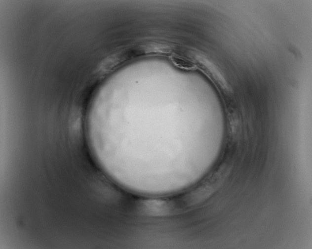 X0000116840265200912312100