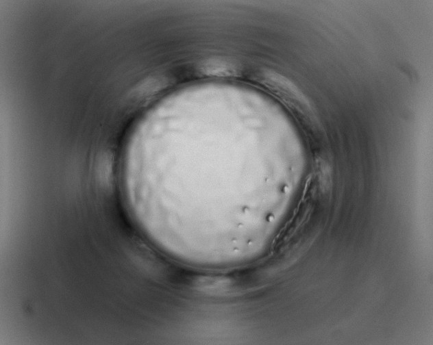 X0000116840266200912312100