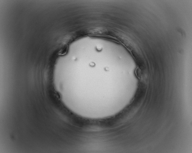 X0000116840268200912312100