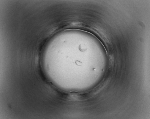 X0000116840269200912312100