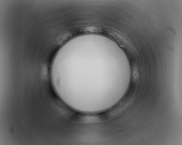 X0000116840270200912312100