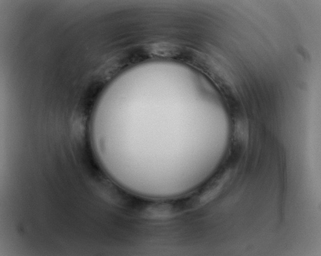 X0000116840271200912312100