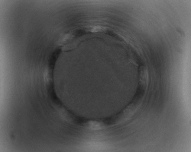 X0000116840272200912312100