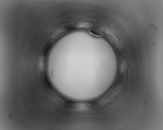 X0000116840273200912312100