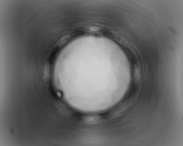 X0000116840274200912312100