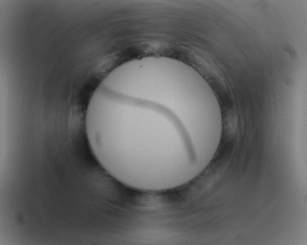 X0000116840276200912312100