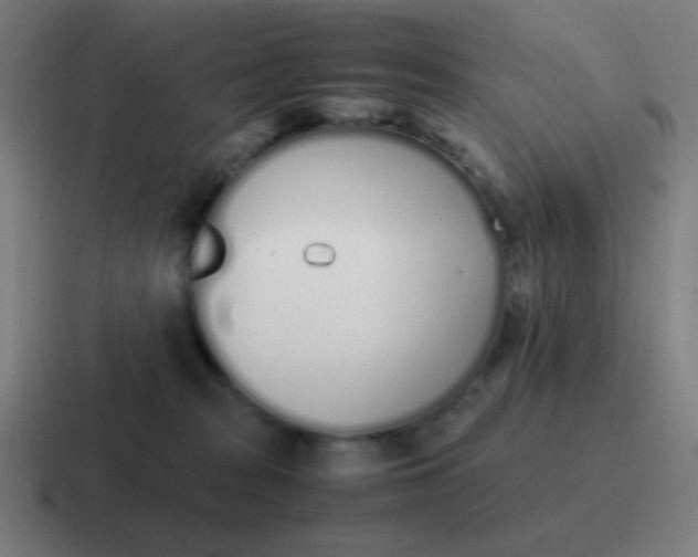 X0000116840277200912312100