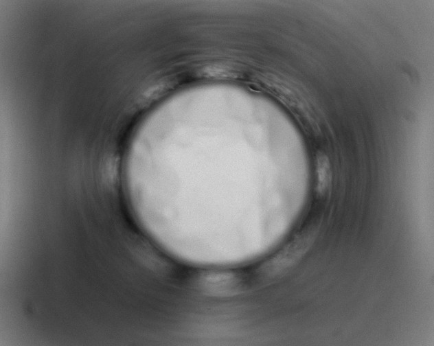 X0000116840278200912312100