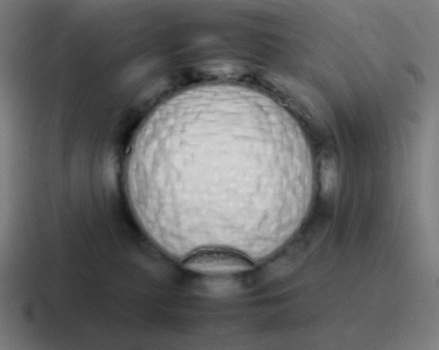 X0000116840279200912312100