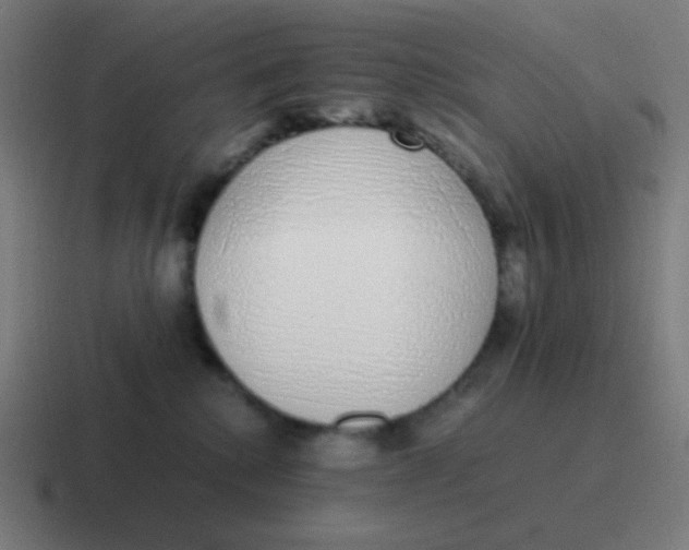 X0000116840280200912312100