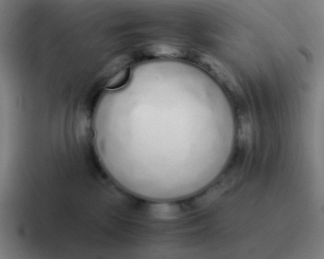 X0000116840281200912312100