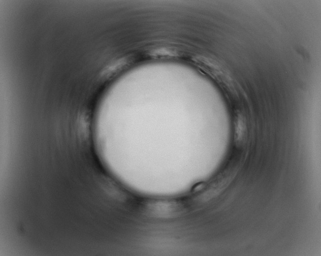 X0000116840282200912312100