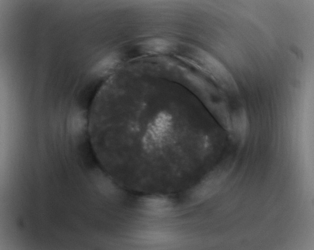 X0000116840284200912312101