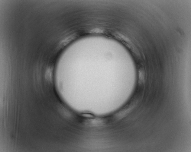 X0000116840286200912312101