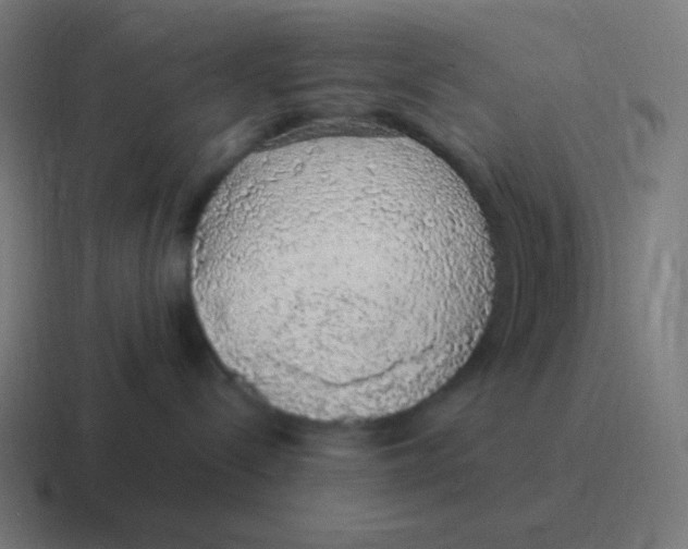 X0000116840288200912312101