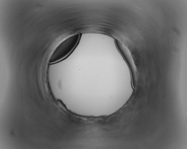 X0000116840289200912312100