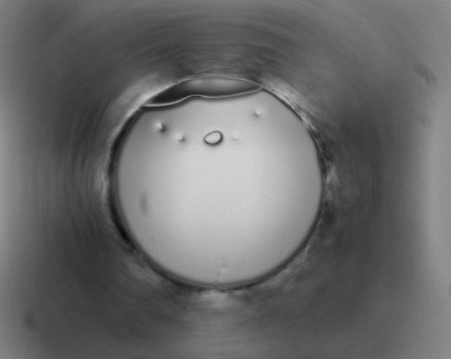 X0000116840290200912312100