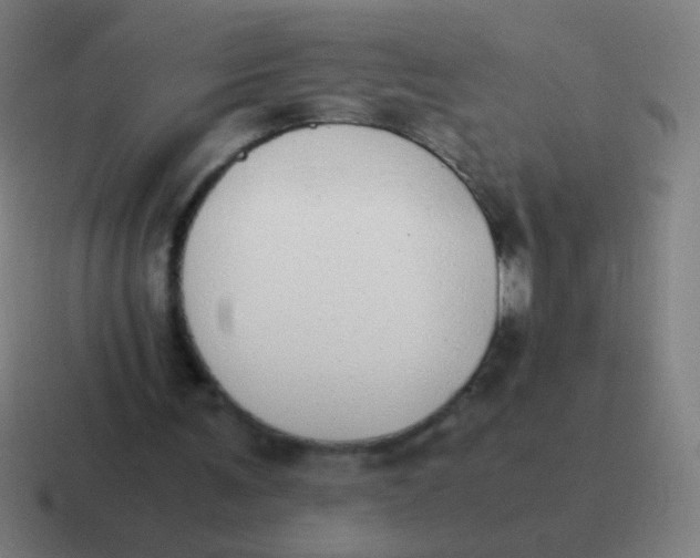 X0000116840291200912312100