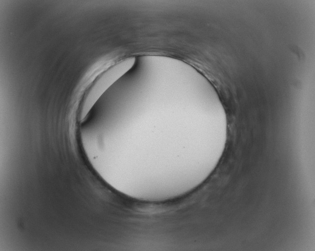 X0000116840293200912312100