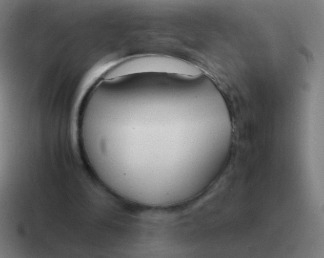 X0000116840294200912312100